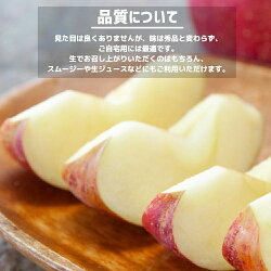 【ふるさと納税】※ 3月 20日終了※ 果物 訳あり りんご 信州 10kg サンふじ 交換保証 長野 感謝りんご 【令和6年度先行予約品】 光センサー フルーツ 不揃い 傷 くだもの 10キロ 12月発送 1月発送 R6年12月〜R7年1月発送 長野県 飯綱町･･･ 画像2