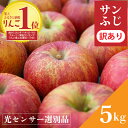 【ふるさと納税】 訳あり りんご 1位 サンふじ 5kg 長