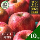 【ふるさと納税】 りんご 10kg 【令和6年度先行予約品】