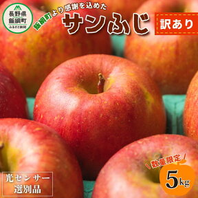 【ふるさと納税】《1月20日受付終了》りんご 訳あり 2024年1月発送 5kg サンふじ 光センサー選果 2023年産 令和5年産 長野県産【 果物 フルーツ ふじ リンゴ 林檎 わけあり 訳アリ 家庭用 傷あり 規格外 1月 長野 】 発送：2024年1月中旬～2月上旬発送 長野県 飯綱町