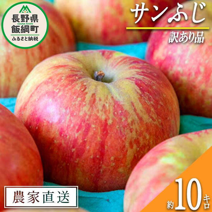 【ふるさと納税】 りんご サンふじ 訳あり 10kg 永正の