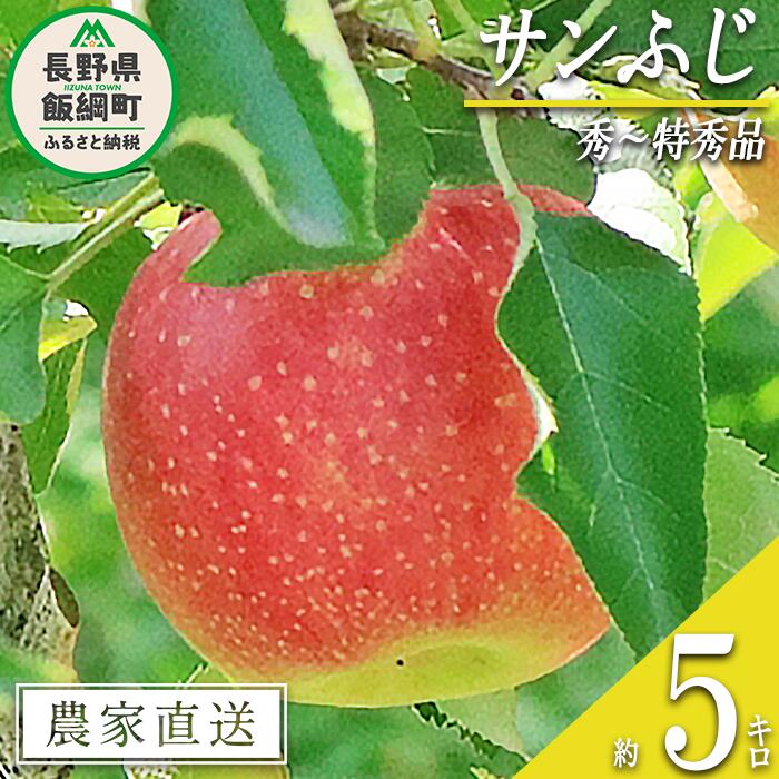 【ふるさと納税】 りんご サンふじ 秀 ～ 特秀 5kg 永
