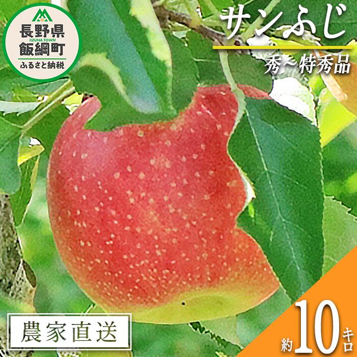 【ふるさと納税】 りんご サンふじ 秀 ～ 特秀 10kg 