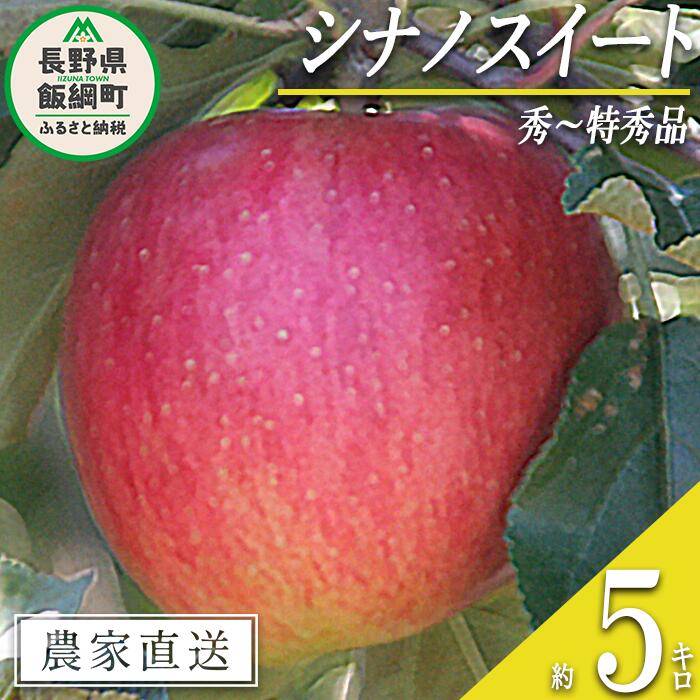 【ふるさと納税】 りんご シナノスイート 秀 ～ 特秀 5k