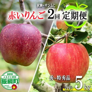 【ふるさと納税】 赤いりんご 【 定期便 】 秀 〜 特秀 5kg × 2回 永正の地蔵尊神谷農園 沖縄県への配送不可 令和7年度収穫分 長野県 飯綱町 〔 信州 果物 フルーツ リンゴ 林檎 長野 31000円 予約 農家直送 〕発送期間:2025年10月上旬〜2025年12月中旬