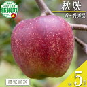 【ふるさと納税】 りんご 秋映 5kg 秀〜特秀 永正の地蔵尊神谷農園 沖縄県への配送不可 〔 果物 フルーツ 林檎 長野 予約 農家直送 贈答用 5キロ 16000円 〕【令和7年度収穫分】 発送:2025年10月上旬〜(4)