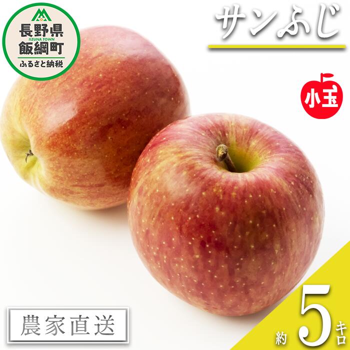 【ふるさと納税】 りんご サンふじ 小玉 5kg 丸茂ファー