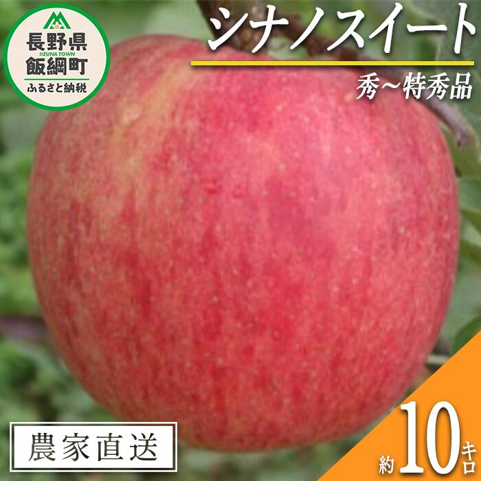 【ふるさと納税】 りんご シナノスイート 秀 ～ 特秀 10