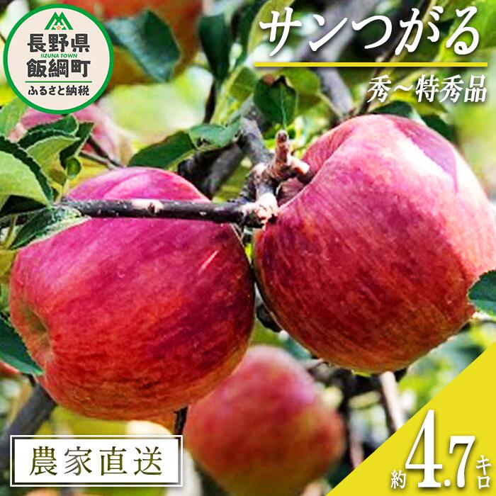 【ふるさと納税】 りんご サンつがる 秀 ～ 特秀 4.7k