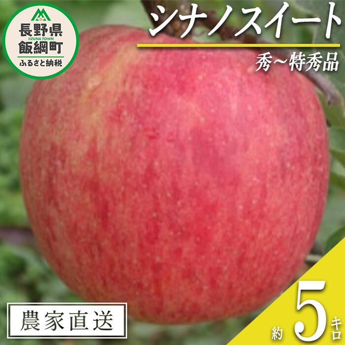 【ふるさと納税】 りんご シナノスイート 秀 ～ 特秀 5k