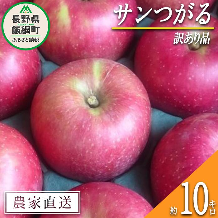 【ふるさと納税】 りんご サンつがる 訳あり 10kg マル