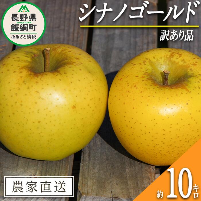 りんご シナノゴールド 訳あり 10kg マルヤマフルーツ農園 沖縄県への配送不可 令和6年度収穫分 農産物認証50-30 減農薬栽培 長野県 飯綱町 【 傷 不揃い リンゴ 林檎 果物 フルーツ 信州 長野 】発送時期：2024年11月上旬～2024年11月中旬 {*}