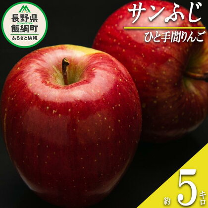 りんご サンふじ 「 ひと手間りんご 」 5kg ふるさと振興公社 長野県 飯綱町 〔 信州 林檎 リンゴ 果物 フルーツ 長野 22000円 〕 発送期間：2024年12月中旬～2024年12月下旬 {***}