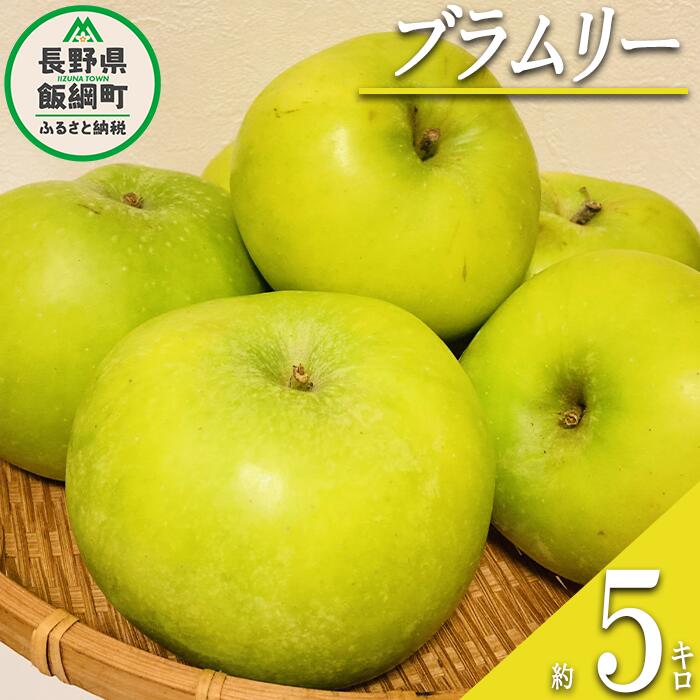 【ふるさと納税】 りんご ブラムリー 家庭用 5kg 沖縄県への配送不可 クッキングアップル ふるさと振興公社 長野県 飯綱町 〔 果物 フルーツリンゴ 林檎 長野 信州 17000円 〕発送期間：2024年8月下旬～2024年9月下旬 {**}のサムネイル
