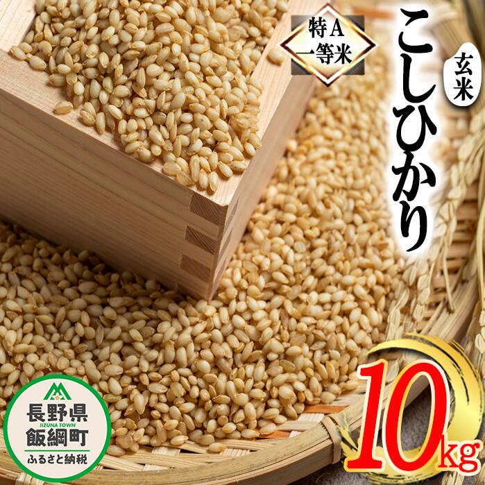 玄米 コシヒカリ 10kg 特A 沖縄県への配送不可 長野県 飯綱町 ふるさと振興公社 【 お米 こしひかり 信州 長野 信州のお米 米 18000円 】 [お届け1回 (***)]