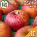  りんご サンふじ 訳あり 10kg 沖縄県への配送不可 ふるさと振興公社 長野県 飯綱町 〔 林檎 リンゴ 果物 くだもの フルーツ 長野 20000円 〕 発送期間：2024年12月上旬～2025年2月下旬 {*}