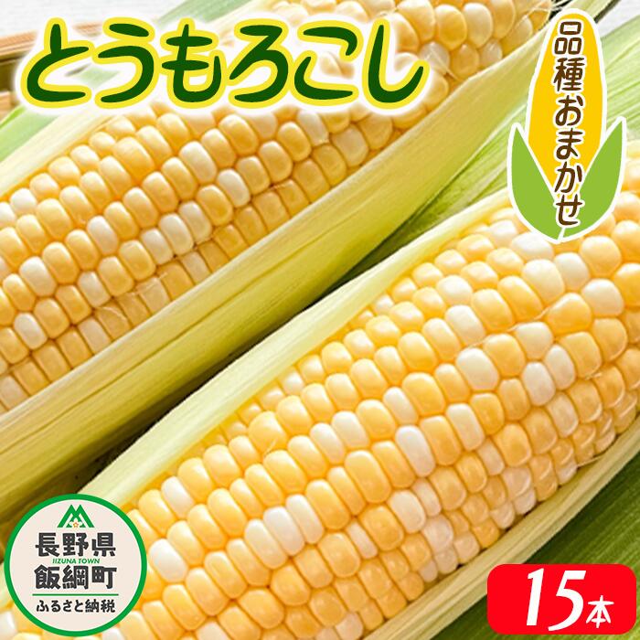 とうもろこし 15本 厳選品種 (品種おまかせ)配送先は本州限定 ふるさと振興公社 長野県 飯綱町 〔 信州 トウモロコシ コーン 17000円 〕発送期間:2024年8月下旬〜2024年9月上旬