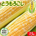  とうもろこし 15本 厳選品種 （品種おまかせ）配送先は本州限定 ふるさと振興公社 長野県 飯綱町 〔 信州 トウモロコシ コーン 17000円 〕発送期間：2024年8月下旬～2024年9月上旬