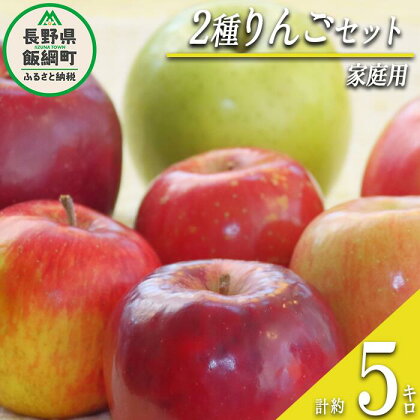 りんご 2種のりんご 詰め合わせ セット 家庭用 5kg （品種おまかせ） 沖縄県への配送不可 ふるさと振興公社 長野県 飯綱町 〔 信州 林檎 リンゴ 家庭用 果物 フルーツ 長野 17000円 〕 発送期間：2024年11月上旬～2024年12月下旬 {**}