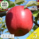 37位! 口コミ数「7件」評価「4.43」 りんご サンふじ 秀 5kg 原山農園 沖縄県への配送不可 令和6年度収穫分 長野県 飯綱町 〔 信州 果物 フルーツ リンゴ 林檎 長野･･･ 