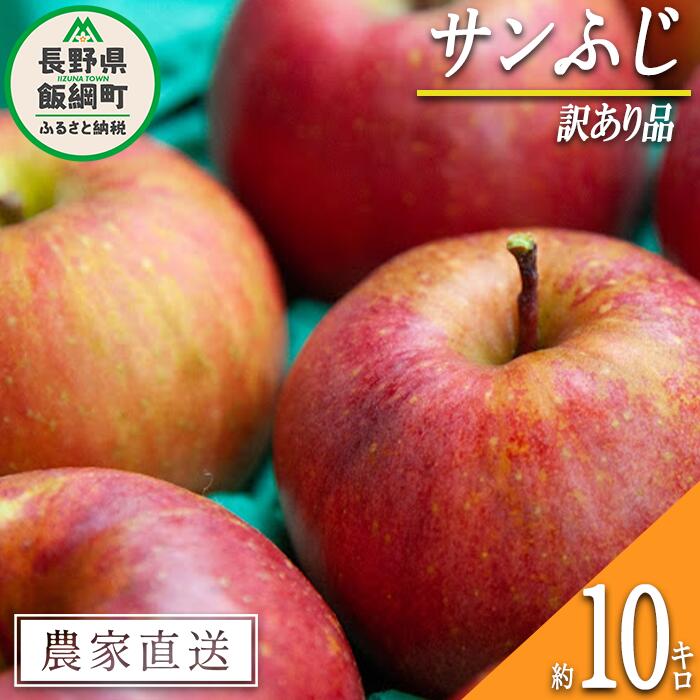 【ふるさと納税】 りんご サンふじ 訳あり 10kg 原山農園 沖縄県への配送不可 令和6年度収穫分 長野県...