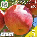 【ふるさと納税】 りんご シナノスイート 家庭用 5kg 原