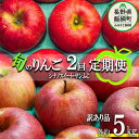 【ふるさと納税】季節のりんご 【定期便】2品種 5kg× 2回 訳あり 原山農園 沖縄へは配送不可 〔 果物 フルーツ 林檎 長野 予約 農家直送 不揃い 規格外 5キロ 23000円 〕【令和7年度収穫分】 発送:2025年10月中旬~