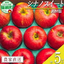 【ふるさと納税】 りんご シナノスイート 5kg 訳あり 原山農園 沖縄県への配送不可 〔 果物 フルーツ 林檎 長野 予約 農家直送 不揃い 規格外 5キロ 12000円 〕【令和7年度収穫分】 発送:2025年10月中旬~