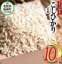 【ふるさと納税】 米 こしひかり 玄米 10kg ( 令和5