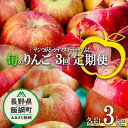  りんご ＜ 定期便 ＞ 農家応援企画 3種のりんご 家庭用 〜 訳あり 3kg × 3回 沖縄県への配送不可 令和6年度収穫分 長野県 飯綱町 〔 傷 不揃い リンゴ 林檎 果物 フルーツ 信州 長野 28000円 予約 〕発送期間：2024年8月下旬〜2024年12月上旬 {**} {*}