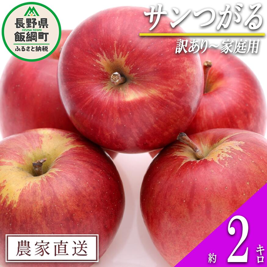 【ふるさと納税】 りんご 農家応援企画 りんご サンつがる 