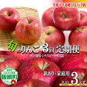 【ふるさと納税】 りんご < 定期便 > 農家応援企画 3種のりんご 家庭用 〜 訳あり 3kg × 3回 沖縄県への配送不可 令和7年度収穫分 長野県 飯綱町...