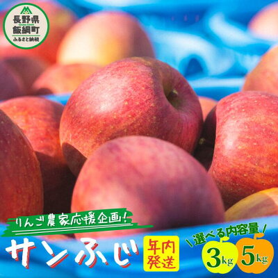 楽天ふるさと納税　【ふるさと納税】りんご 訳あり サンふじ 3kg 5kg 長野 果物 わけあり 家庭用 さんふじ リンゴ 林檎 不揃い 傷あり くだもの フルーツ 9000円 13000円 農家直送 長野県 飯綱町 2024年11月下旬～2025年2月下旬発送予定 【農家応援企画】