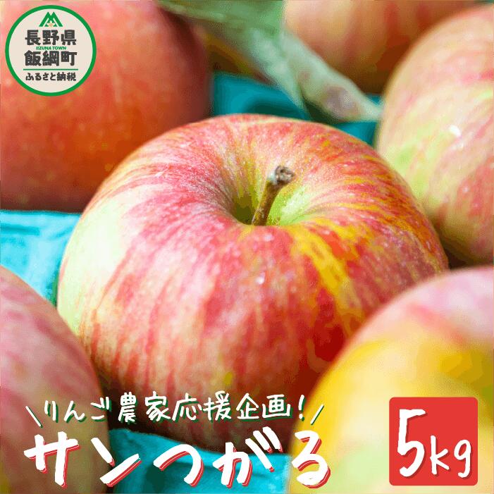 りんご 農家応援企画 りんご サンつがる 家庭用 〜 訳あり 5kg 沖縄県への配送不可 令和6年度収穫分 長野県 飯綱町 〔 傷 不揃い リンゴ 林檎 つがる 果物 フルーツ 信州 長野 13000円 予約 〕発送期間:2024年8月下旬〜2024年9月中旬 {**} {*}