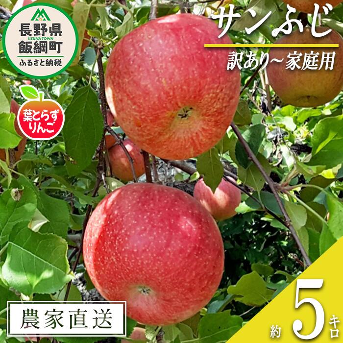 【ふるさと納税】 りんご 葉とらず サンふじ 訳あり 5kg 米澤農園 沖縄県への配送不可 令和7年度収穫分 長野県 飯綱町 〔 傷 不揃い リンゴ 林檎 果物...