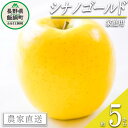 【ふるさと納税】 りんご シナノゴールド 家庭用 5kg 丸