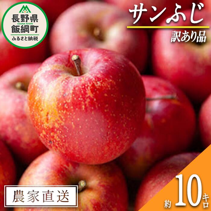  りんご サンふじ 訳あり 10kg 宮本ファーム 令和6年度収穫分 長野県 飯綱町 〔 傷 不揃い わけあり リンゴ 林檎 果物 フルーツ 信州 長野 16000円 予約 農家直送 〕 発送時期：2024年12月上旬～2024年12月下旬