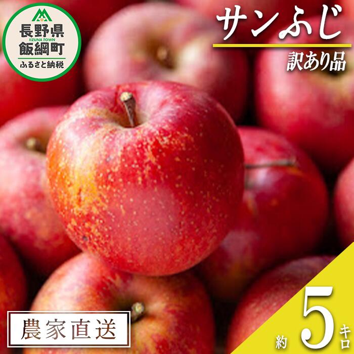 【ふるさと納税】 りんご サンふじ 訳あり 5kg 宮本ファ
