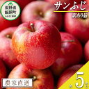 【ふるさと納税】 りんご サンふじ 訳あり 5kg 宮本ファーム 令和7年度収穫分 長野県 飯綱町 〔 傷 不揃い わけあり リンゴ 林檎 果物 フルーツ 信州...