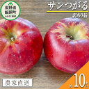 【ふるさと納税】 りんご サンつがる 訳あり 10kg 沖縄県への配送不可 令和7年度収穫分 宮本ファーム エコファーマー 減農薬栽培 長野県 飯綱町 〔 リン...