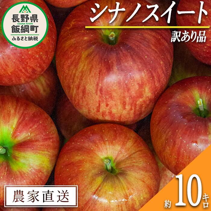 【ふるさと納税】 りんご シナノスイート 訳あり 10kg 