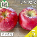 【ふるさと納税】りんご つがる 5kg 訳あり 宮本ファーム 沖縄へは配送不可 〔 果物 フルーツ 林檎 長野 予約 農家直送 不揃い 規格外 5キロ 11000円 〕【令和7年度収穫分】 発送:2025年9月上旬~