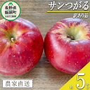 11位! 口コミ数「0件」評価「0」りんご つがる 5kg 訳あり 宮本ファーム 沖縄へは配送不可 〔 果物 フルーツ 林檎 長野 予約 農家直送 不揃い 規格外 5キロ 10･･･ 