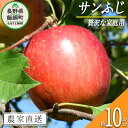 【ふるさと納税】 りんご サンふじ 贅沢な 家庭用 10kg