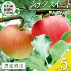 【ふるさと納税】 りんご シナノスイート 贅沢な 家庭用 5kg 庚申山荘ファーム 沖縄県への配送不可 令和6年度収穫分 長野県 飯綱町 〔 信州 果物 フルーツ リンゴ 林檎 長野 15000円 予約 農家直送 〕発送時期：2024年10月上旬～2024年11月上旬 {**}