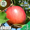 名称 りんご（ふじ） 内容量 贅沢な家庭用　3kg 産地 長野県飯綱町産 配送方法 常温 事業者名 庚申山荘ファーム 発送時期 2024年11月中旬からお申込み順に発送予定 備考 ※沖縄県への配送はいたしかねます。 ※発送時期は、例年の発送時期を目安に記載しております。 その年の天候や生育状況により、予告なくお届け時期が前後する場合がありますがご了承ください。 ※りんごの個体差や水分量などにより、表示されている商品規格より1割程度、内容量が少なくなることがありますのでご了承ください。 ※りんごは果汁の多い果実のため、外観上は鮮度が保たれていても、稀に果肉内部に褐変症状が出てしまう場合がございます。 外見から見分けることが難しい症状のため、あらかじめご了承ください。 ※生ものですので冷蔵庫にて保存のうえ、お早めにお召し上がりください。 ※収穫時期が限られているため、日時指定はお受けいたしかねます。 ※画像はイメージです。 ・ふるさと納税よくある質問はこちら ・寄附申込みのキャンセル、返礼品の変更・返品はできません。あらかじめご了承ください。【ふるさと納税】りんご ふじ 3kg 贅沢な家庭用 庚申山荘ファーム 沖縄へは配送不可 〔 果物 フルーツ 林檎 長野 予約 農家直送 3キロ 13000円 〕【令和6年度収穫分】 発送：2024年11月中旬〜 事業者からのコメント ＜サンふじ　贅沢な家庭用 3kg＞ サンふじは、甘みと酸味のバランスがとれたりんごです。 「サンふじ」とは、袋がけをせず太陽の光をたくさん浴びて育てた「ふじ」のことです。 国内で一番多く生産され、大変人気のある品種です。 庚申山荘ファームは、北信五岳（飯綱、戸隠、黒姫、妙高、斑尾）が一望でき、空気が澄んでて寒暖差が大きく、自然の恵みが豊かな高台にあります。 そんな、庚申山荘ファームのおいしいりんごをお届けします。 ※この商品は自家用で、表面に葉陰や色むら、サビや枝スレなどがあるものが含まれます。見た目は落ちますが品質には問題なく、おいしく召し上がってください。 ※おいしいりんごを作るため、葉摘み作業を少なくしております。そのため、葉陰などの色むらがあることがございますので、ご理解くださいますようお願いします。 ・ふるさと納税よくある質問はこちら ・寄附申込みのキャンセル、返礼品の変更・返品はできません。寄附者の都合で返礼品が届けられなかった場合、返礼品等の再送はいたしません。あらかじめご了承ください。 ・この商品はふるさと納税の返礼品です。スマートフォンでは「買い物かごに入れる」と表記されておりますが、寄附申込みとなりますのでご了承ください。