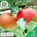 名称 りんご（シナノスイート） 内容量 家庭用　3kg 産地 長野県飯綱町産 配送方法 常温 事業者名 庚申山荘ファーム 発送時期 2024年10月上旬からお申込み順に発送予定 備考 ※沖縄県への配送はいたしかねます。 ※発送時期は、例年の発送時期を目安に記載しております。 その年の天候や生育状況により、予告なくお届け時期が前後する場合がありますがご了承ください。 ※りんごの個体差や水分量などにより、表示されている商品規格より1割程度、内容量が少なくなることがありますのでご了承ください。 ※りんごは果汁の多い果実のため、外観上は鮮度が保たれていても、稀に果肉内部に褐変症状が出てしまう場合がございます。 外見から見分けることが難しい症状のため、あらかじめご了承ください。 ※生ものですので冷蔵庫にて保存のうえ、お早めにお召し上がりください。 ※収穫時期が限られているため、日時指定はお受けいたしかねます。 ※画像はイメージです。 ・ふるさと納税よくある質問はこちら ・寄附申込みのキャンセル、返礼品の変更・返品はできません。あらかじめご了承ください。【ふるさと納税】りんご シナノスイート 3kg 家庭用 庚申山荘ファーム 沖縄へは配送不可 〔 果物 フルーツ 林檎 長野 予約 農家直送 3キロ 12000円 〕【令和6年度収穫分】 発送：2024年10月上旬〜 事業者からのコメント ＜シナノスイート　贅沢な家庭用 3kg＞ シナノスイートは、長野県のオリジナル品種「りんご3兄弟」のひとつです。 ジューシーさと濃厚な甘みが、幅広い年齢層の方に人気のりんごです。 庚申山荘ファームは、北信五岳（飯綱、戸隠、黒姫、妙高、斑尾）が一望でき、空気が澄んでて寒暖差が大きく、自然の恵みが豊かな高台にあります。 そんな、庚申山荘ファームのおいしいりんごをお届けします。 ※この商品は自家用で、表面に葉陰や色むら、サビや枝スレなどがあるものが含まれます。見た目は落ちますが品質には問題なく、おいしく召し上がってください。 ※おいしいりんごを作るため、葉摘み作業を少なくしております。そのため、葉陰などの色むらがあることがございますので、ご理解くださいますようお願いします。 ・ふるさと納税よくある質問はこちら ・寄附申込みのキャンセル、返礼品の変更・返品はできません。寄附者の都合で返礼品が届けられなかった場合、返礼品等の再送はいたしません。あらかじめご了承ください。 ・この商品はふるさと納税の返礼品です。スマートフォンでは「買い物かごに入れる」と表記されておりますが、寄附申込みとなりますのでご了承ください。