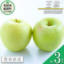 【ふるさと納税】りんご 王林 3kg 贅沢な家庭用 庚申山荘ファーム 沖縄へは配送不可 〔 果物 フルーツ 林檎 長野 予約 農家直送 3キロ 12000円 〕【令和7年度収穫分】 発送:2025年11月上旬〜(4)