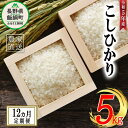 16位! 口コミ数「0件」評価「0」 米 こしひかり 5kg × 12回 【 12か月 定期便 】( 令和5年産 ) 沖縄県への配送不可 米澤商店 長野県 飯綱町 【 コシヒカ･･･ 