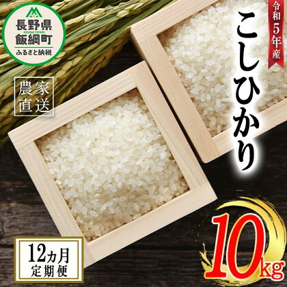 米 こしひかり 10kg × 12回 【 12か月 定期便 】( 令和5年産 ) 沖縄県への配送不可 米澤商店 長野県 飯綱町 【 コシヒカリ 白米 精米 お米 信州 】発送時期：2023年11月上旬～ [お届け12回 (***)]